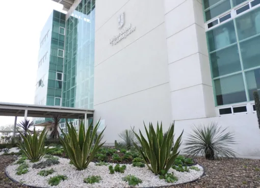 Sistema Nacional de Posgrados distingue a cinco programas del Campus Celaya-Salvatierra de la UG