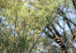 Cuidado de las Áreas Naturales Protegidas prioridad del Gobierno de la Gente