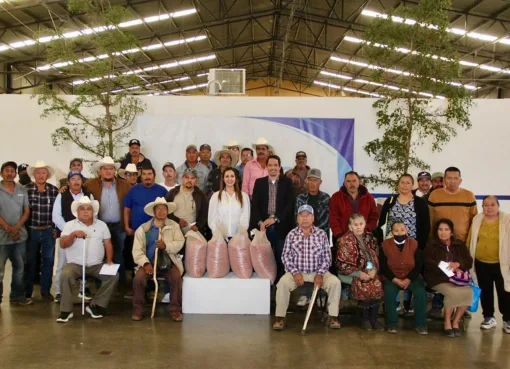Apoyan al campo con entrega de Semilla de garbanzo blanco