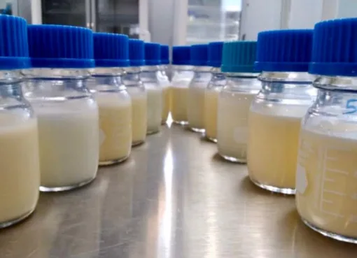 SSG promueve lactancia materna como pilar de la sana alimentación