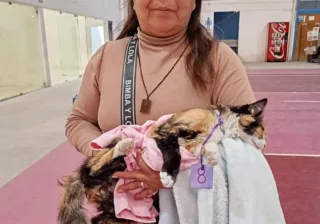 SSG realizó 264 cirugías de esterilización de perros y gatos en Salvatierra