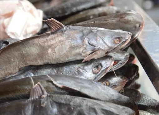 SSG supervisa expendios de venta de alimentos producto de la pesca para garantizar su higiene y calidad
