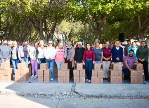 DIF entrega despensas en Villagrán