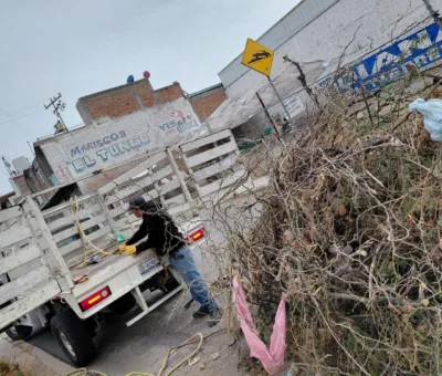Purísima mantiene servicio permanente de limpieza de arroyos, frente de escuelas y calles
