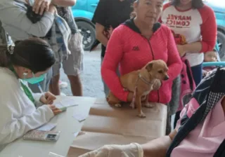 SSG desarrolla la Jornada de Vacunación Antirrábica Canina y Felina del 22 al 28 de marzo