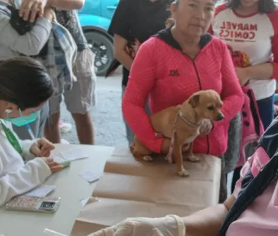SSG desarrolla la Jornada de Vacunación Antirrábica Canina y Felina del 22 al 28 de marzo
