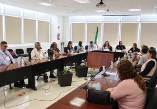 Realiza INE Guanajuato consulta para la incorporación de un elemento táctil en la Credencial para Votar