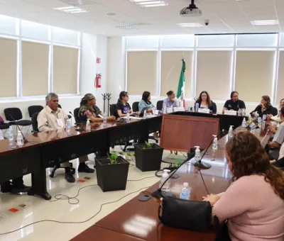 Realiza INE Guanajuato consulta para la incorporación de un elemento táctil en la Credencial para Votar