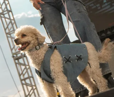 Motofiesta reúne a 51 empresas Marca Guanajuato y abre nuevas oportunidades de negocio