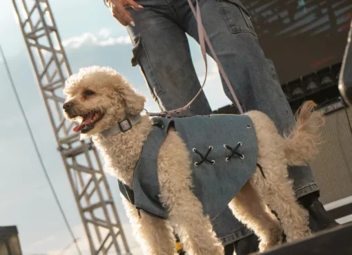 Motofiesta reúne a 51 empresas Marca Guanajuato y abre nuevas oportunidades de negocio