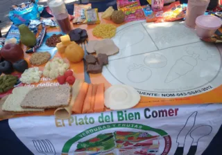 SSG ofrece atención oportuna a más de 73 mil guanajuatenses con algún grado de obesidad