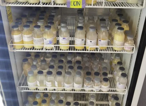 Guanajuato es referente nacional en la promoción y protección de la lactancia materna