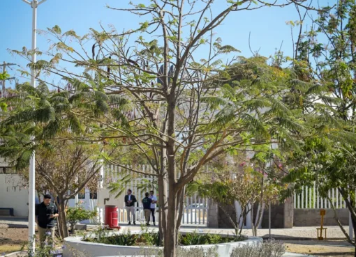 EL BOSQUE DE LA OLLA ES GALARDONADO CON LA CERTIFICACIÓN GREEN FLAG AWARD