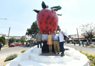 UNA FRESA QUE NOS UNE: SÍMBOLO VIVO DE IDENTIDAD Y ORGULLO IRAPUATENSE
