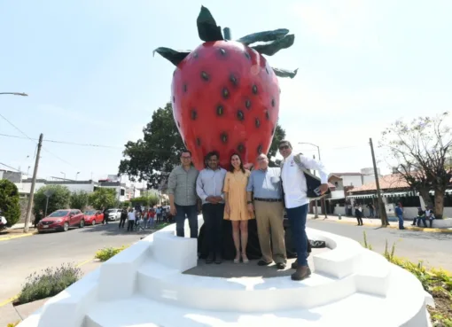 UNA FRESA QUE NOS UNE: SÍMBOLO VIVO DE IDENTIDAD Y ORGULLO IRAPUATENSE