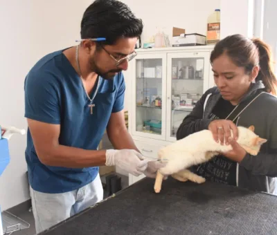 MANTIENE GOBIERNO DE IRAPUATO CAMPAÑA PERMANENTE DE VACUNACIÓN ANTIRRÁBICA Y BIENESTAR ANIMAL