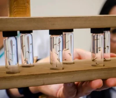 SSG refuerza acciones contra el dengue por lluvias esporádicas