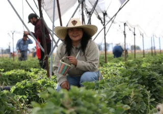GUANAJUATO AVANZA EN ACCIONES DE BÚSQUEDA