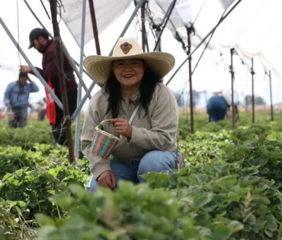 GUANAJUATO AVANZA EN ACCIONES DE BÚSQUEDA