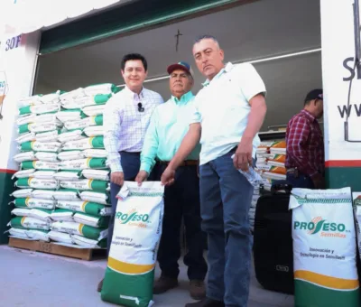 Continúa entrega de semilla de Maíz a productores dobladenses