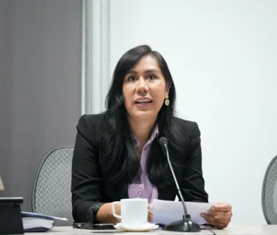 Plan B no contempla candados contra crimen organizado, denuncia PAN