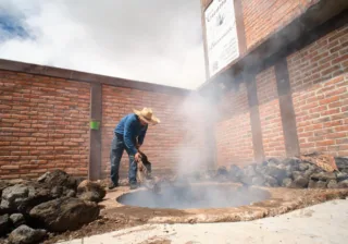 Guanajuato suma 4 municipios más a la Denominación de Origen Mezcal otorgada por el IMPI