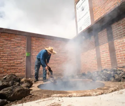 Guanajuato suma 4 municipios más a la Denominación de Origen Mezcal otorgada por el IMPI