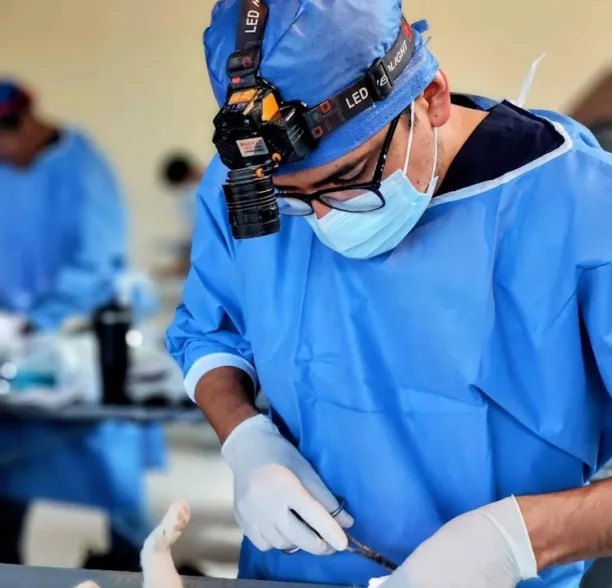SSG programa 250 esterilizaciones gratuitas de perros y gatos en Celaya.