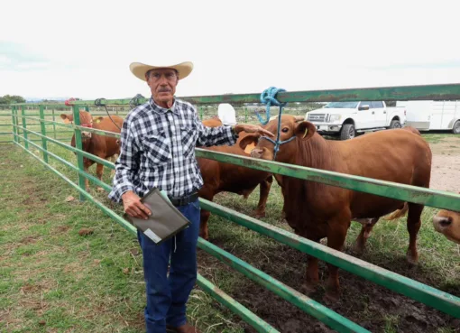 Respaldan al sector ganadero en Manuel Doblado